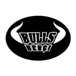 logo Bulls Bergi