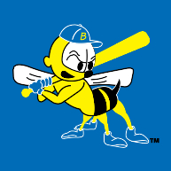 logo Burlington Bees(415)