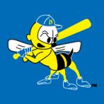 logo Burlington Bees(415)