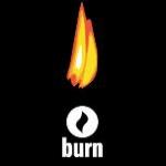 logo Burn(420)