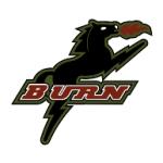 logo Burn