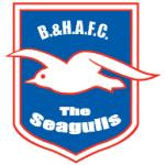 logo Brighton Hove AFC