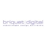 logo Briquet Digital(223)