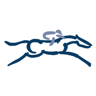 logo British Racing School