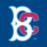 logo Brooklyn Cyclones(255)