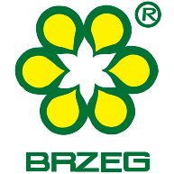 logo Brzeg