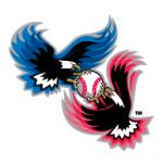 logo American National(79)