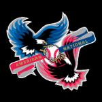 logo American National