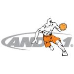 logo AND 1(198)