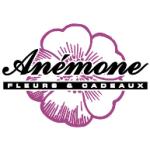 logo Anemone