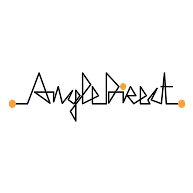 logo Angle Direct