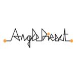 logo Angle Direct