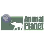 logo Animal Planet