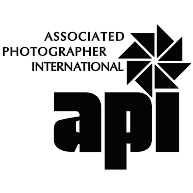 logo API(266)