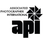 logo API(266)