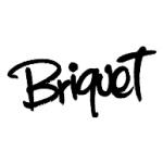 Briquet