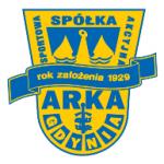 logo Arka Gdynia
