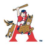 logo Arkansas Travelers(424)