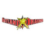 logo Artland Dragons Quakenbruck