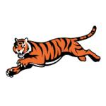 logo Cinncinati Bengals