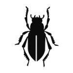 Scarabeo