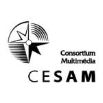 logo Cesam