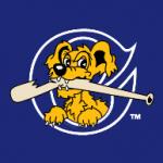 logo Charleston RiverDogs(215)