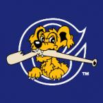 logo Charleston RiverDogs(215)