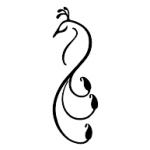 logo Cedco Publishing