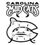 logo Carolina Mudcats(287)