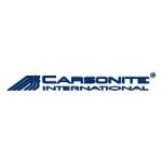 logo Carsonite International