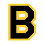 logo Boston Bruins(90)