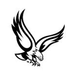logo Boston College Eagles(114)