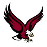 logo Boston College Eagles(115)