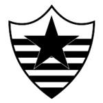 logo Botafogo Esporte Clube de Teresina-PI