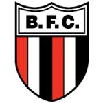 logo Botafogo(120)