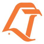 logo Bowling Green Falcons