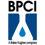 logo BPCI