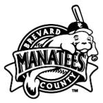 logo Brevard County Manatees(202)