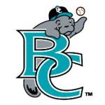 logo Brevard County Manatees(203)