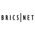 logo Bricsnet
