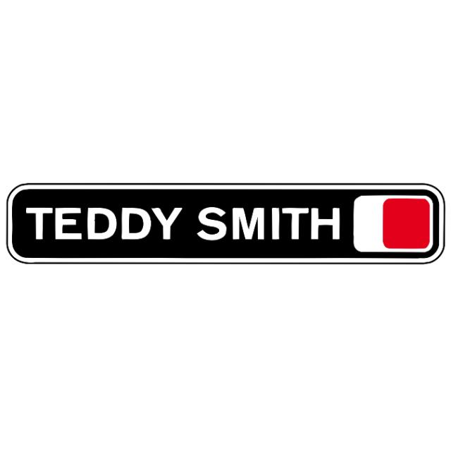 logo TEDDY SMITH