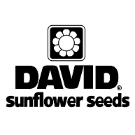 logo David