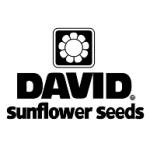 logo David