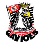 logo Gavi es da Fiel Corinthias