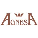 logo Agnesa
