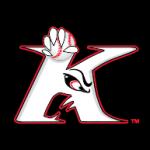 logo Kannapolis Intimidators(51)