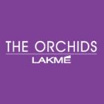 logo Lakme