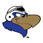 logo Lancaster JetHawks(74)