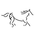 logo Walkaloosa Horse Ranch